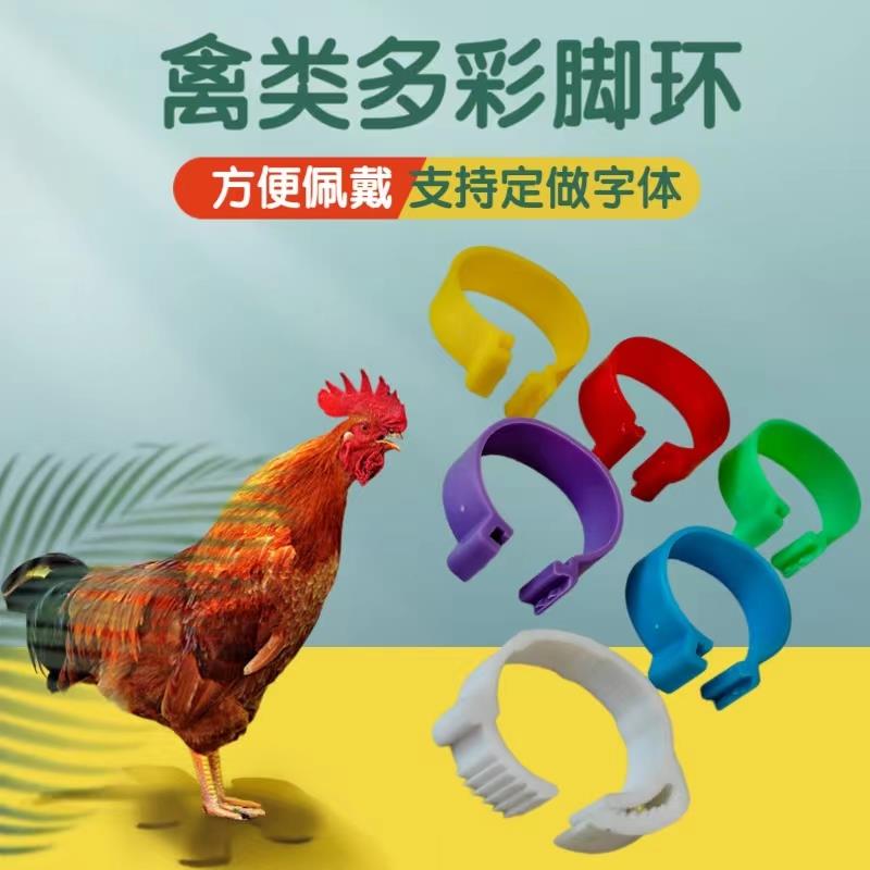 鸡脚环记号卡扣鸡做记号防走失脚圈自动扣芦丁鸡识别扣环鸭子新款