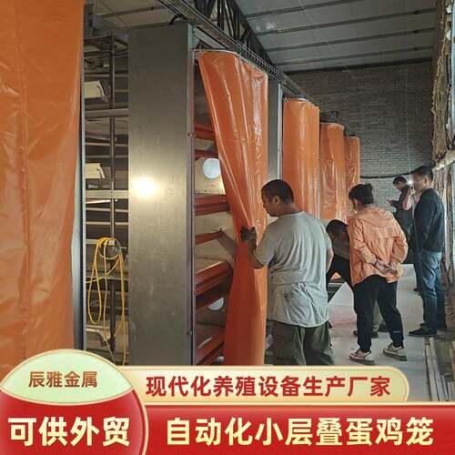 蛋鸡笼自动化养殖场鸡舍养鸡笼自动捡蛋喂料清粪小层叠蛋鸡笼鸡笼