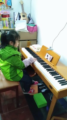 业界评测罗萨电钢琴怎么样?音质音色好不好呢?