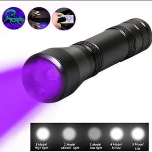 led紫外線手電筒光炬可放大 變焦紫光手電筒黑光燈 Flashlight