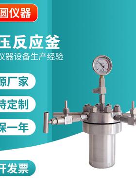 小型高温高压反应釜不锈钢微型磁力搅拌反应器加热套高压反应釜