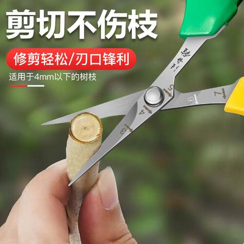 新款直销不锈钢翘头葡萄剪刀2108树枝剪园林园艺果剪鸭嘴剪刀