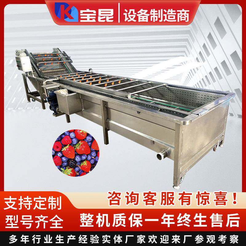 全自动枇杷果洗果机酸菜海产品清洗脱盐设备商用高压喷淋洗菜机