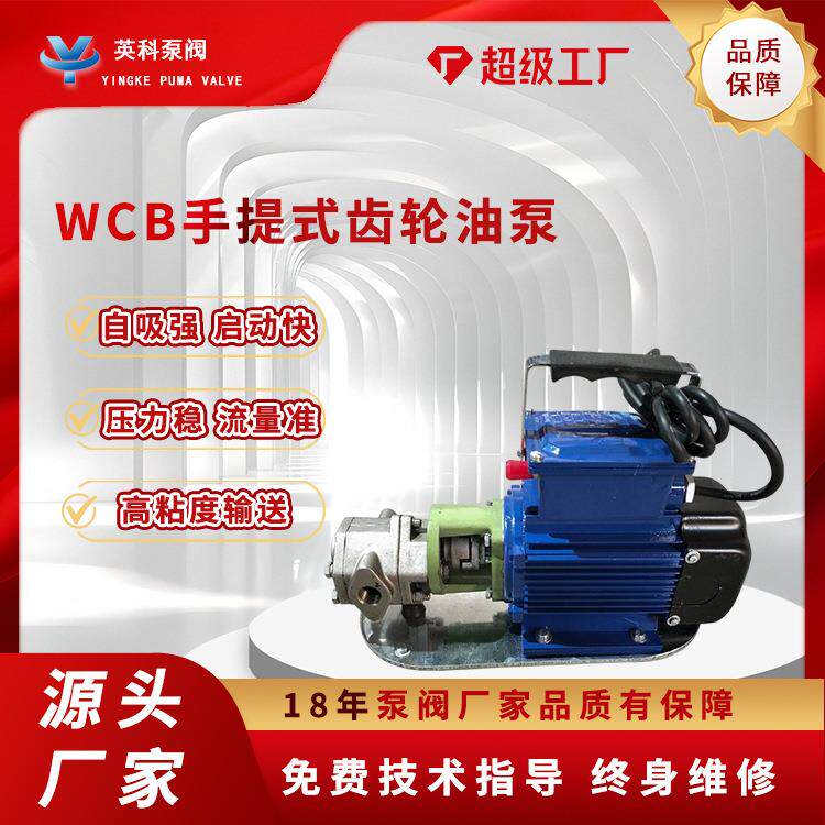 齿轮泵小型不锈钢卸柴油液压机油220v防爆手提式齿轮油泵WCB-50