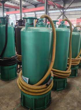 防爆潜水排沙泵 BQS200-45-45KW矿用隔爆型潜水排沙电泵660v1140V