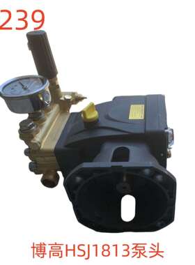 博高HSJ1813泵头-52239号