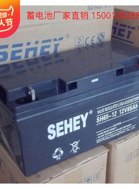 SEHEY西力蓄电池12V65AH铅酸免维护SH65-12后备应急电源质保三年