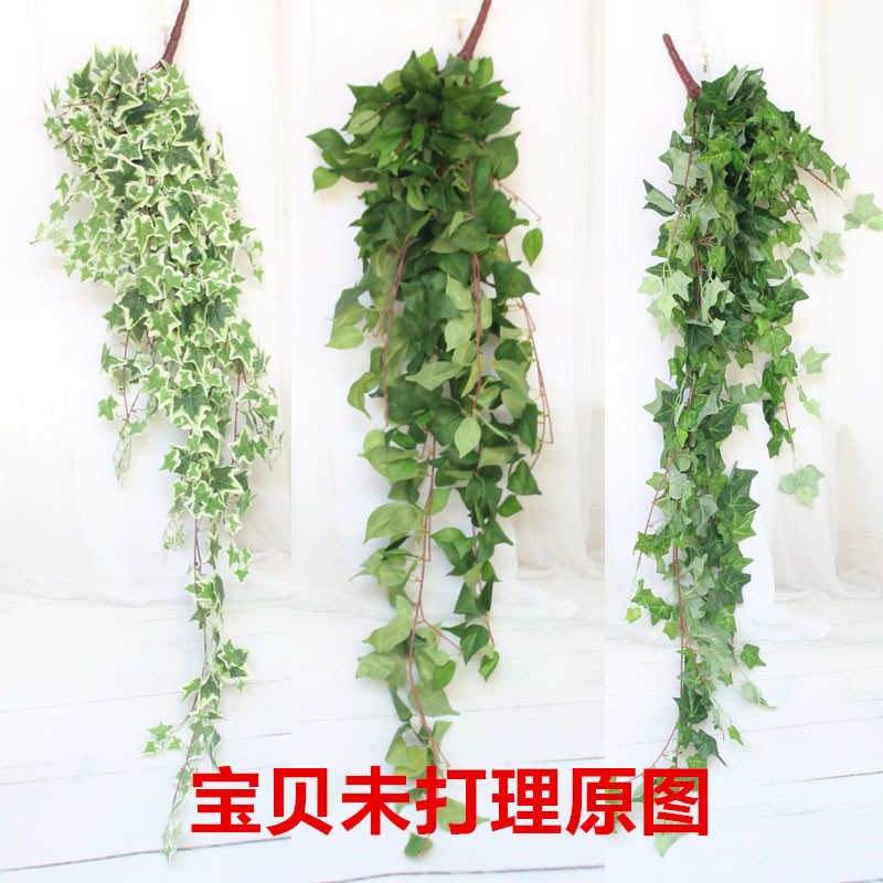 仿真常春藤植物墙绿萝室内外吊兰垂吊壁挂花藤条装饰绿植藤蔓叶子