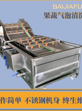 大型辣椒清洗加工设备全自动薄荷叶苏子叶气泡清洗机冻肉解冻池