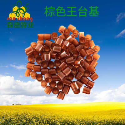 育王台 棕色王台基 塑料育王杯 育王工具一包1000个