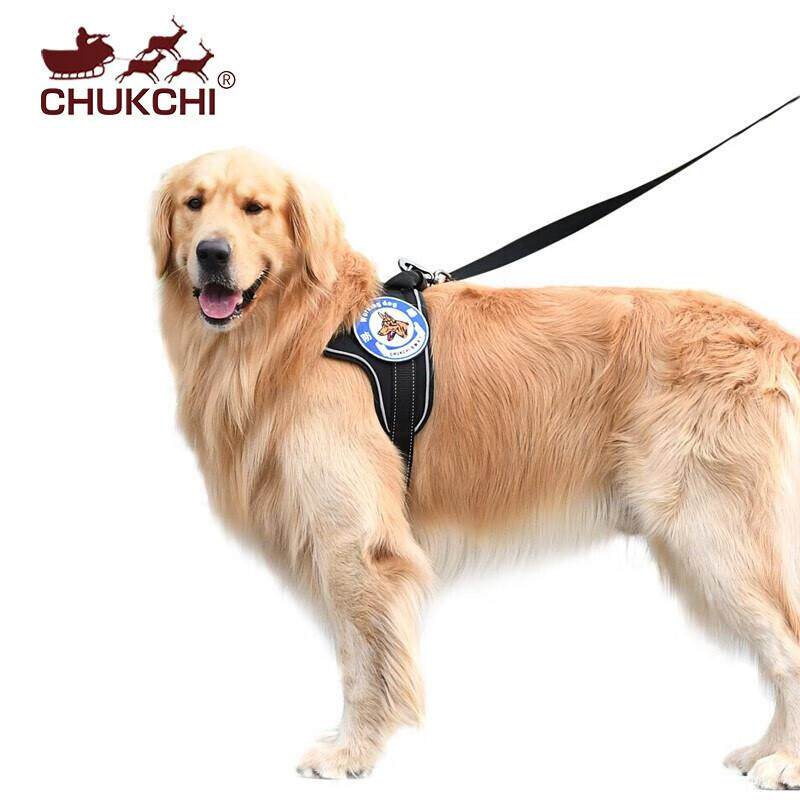 宠物大型犬胸背带 牵引绳套装狗链子狗绳带金毛德牧萨摩直销