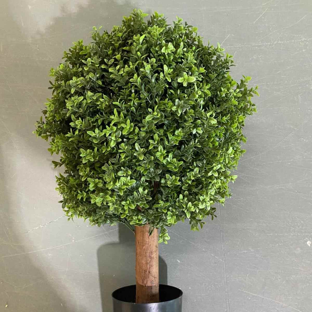 真绿植圆球盆栽装饰橄绿艺00内榄盆景树室外门廊院仿子黄杨木
