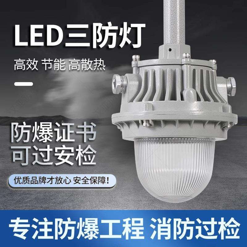 国标防爆灯 LED泛光灯防水防尘铝压铸灯石油化工LED免维护吸顶灯