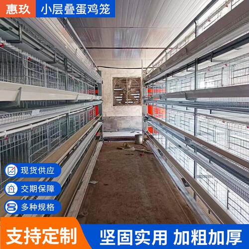 小层叠蛋鸡笼4层叠式笼自动化清粪捡蛋喂料鸡窝养鸡笼料线智能