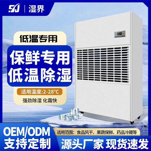 定制工业耐低温除湿机蔬果海鲜大型除湿机实验室冷库耐低温除湿机