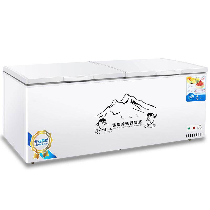 冰保柜箱商用单大容量冰家用冷藏鲜冷冻两用铜管卧式冷柜双温213