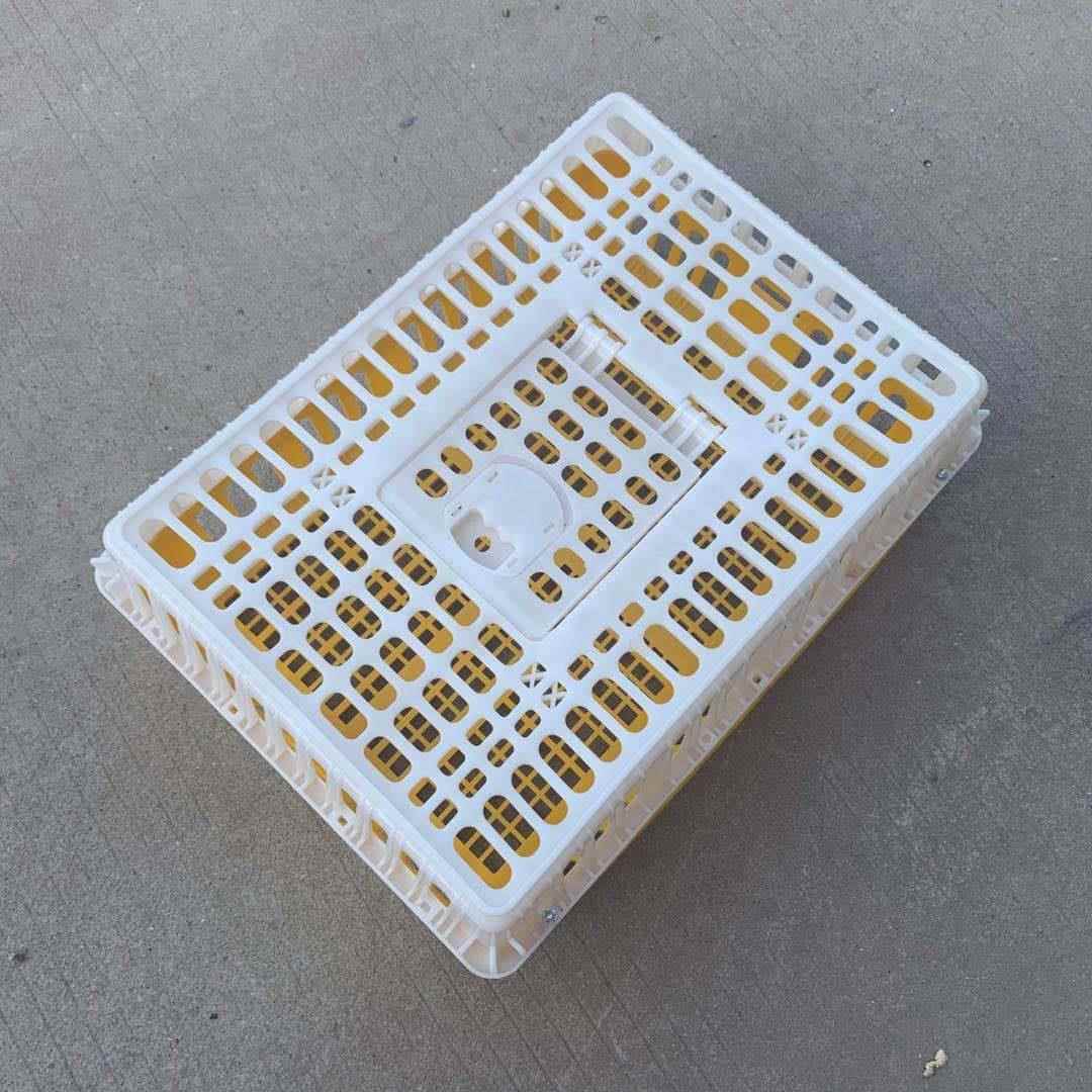 工厂直销加厚养殖塑料鸡笼运输周转鸡笼耐摔耐磨鸡鸭鹅笼幼鸡笼