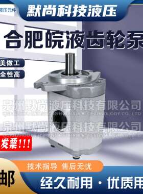 合肥皖液齿轮泵CBT-F410/412.5/414/416/418/419.2/420/423-F油泵