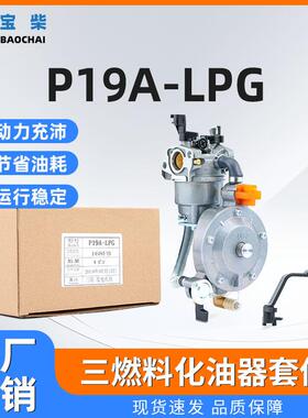 P19A-LPG 发电机组三燃料化油器 170F ER2500 2KW发电机