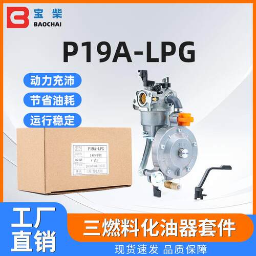 P19A-LPG 发电机组三燃料化油器 170F ER2500 2KW发电机