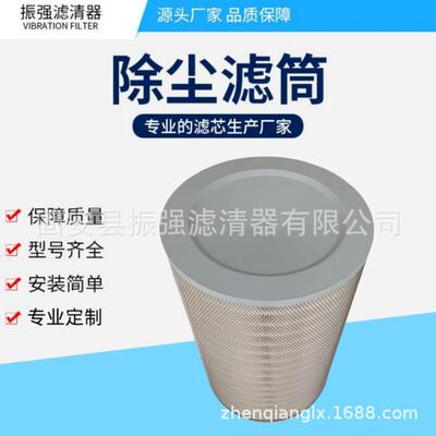 P131912 工业除尘器滤筒 P155248 空气滤芯 325*660
