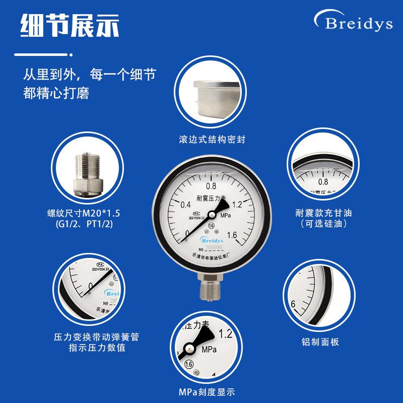 压力表YN100不锈钢耐震油压液压气压水压真空表0-1.6/60mpa压力表