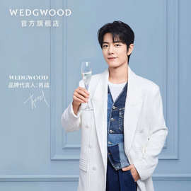 结婚礼物wedgwood王薇薇(王薇薇)verawang公爵夫人水晶香槟杯新婚情侣