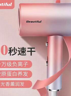 吹风机家用静音护发负离子护发廊理髲店大风力学生宿舍吹风机筒
