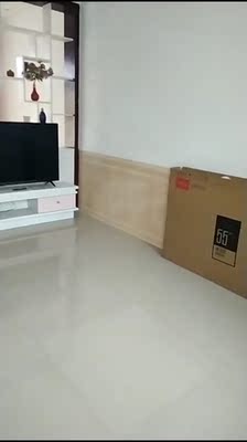 实话真说TCL55v2与海信55E52D哪个口碑好,评测揭秘真相