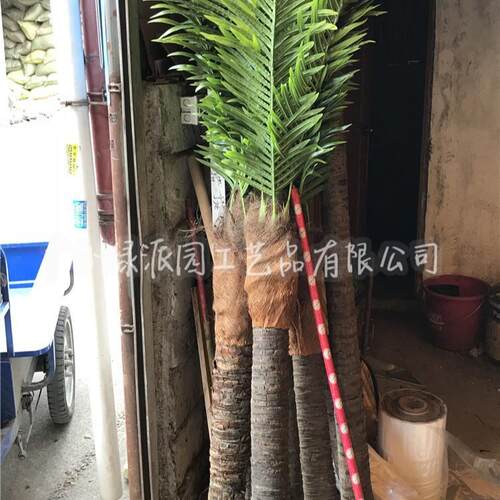 洗浴中心摆放仿真棕榈树俱乐部装饰人造热带景观假棕榈树