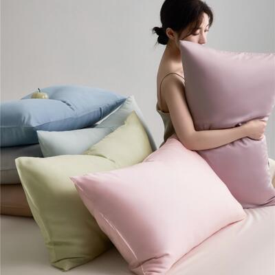 极简纯色兰精莱赛尔LF天丝单枕套 一对2个枕头套48*74cm