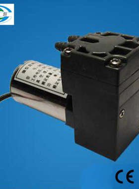 专业销售 DXW312-5003-3700微型增压气泵 农用喷雾机用微型气泵