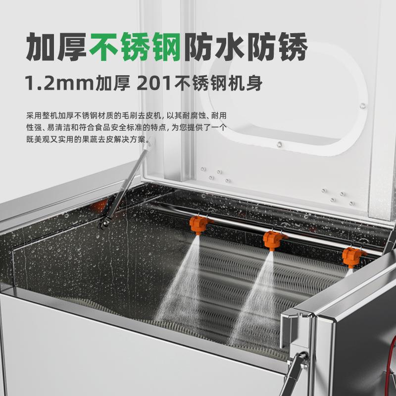 冠霆商用土豆去皮机全自动毛刷清洗生姜地瓜莲藕不锈钢削皮脱皮机