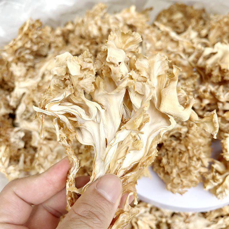 新货绣球菌干货 云南山珍特产美味食材秀球菌非新鲜香菇食用菌