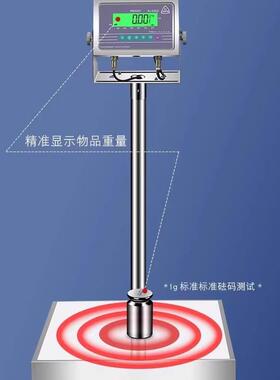 FAYA飞亚EX650防爆电子秤150公斤本安型落地台秤工业称重化工专用