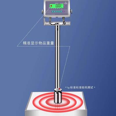 FAYA飞亚EX650防爆电子秤150公斤本安型落地台秤工业称重化工专用