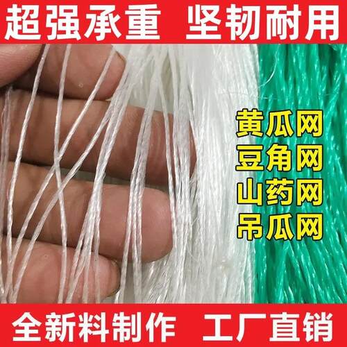 植物爬藤网山药豆角蔬菜吊瓜丝瓜黄瓜百香果网园艺种植攀爬网农用