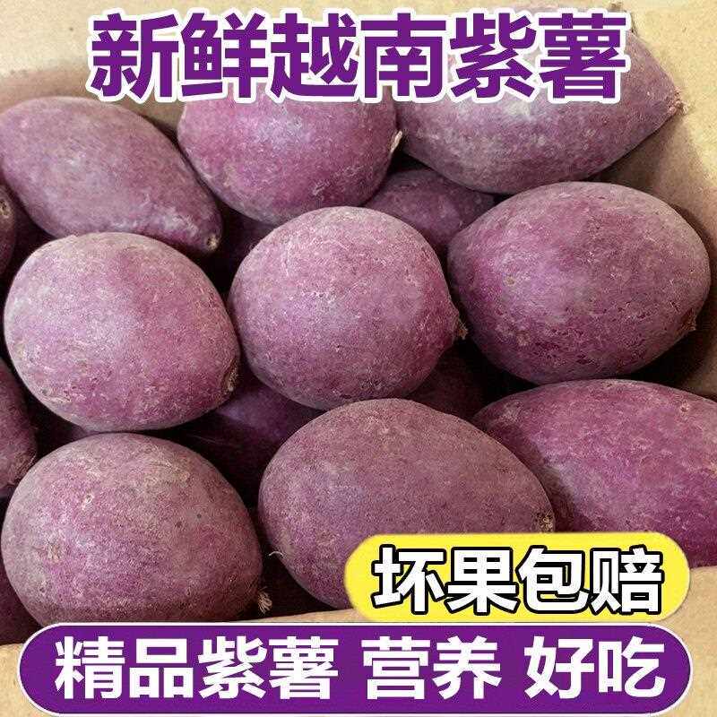 越南小紫薯新鲜甘薯紫心红薯粉糯香甜番薯地瓜小个圆珍珠紫薯