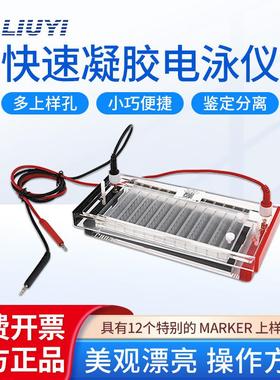 北京 DYCP-44N快速凝胶电泳仪DYCP-44P可用8道移液器加样