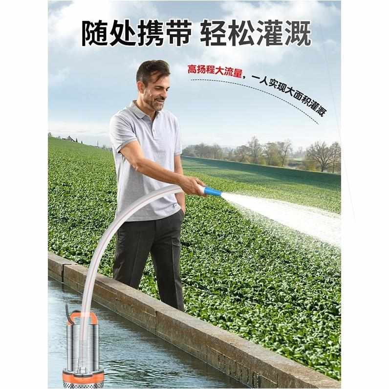 直流潜水泵12V24V48V60V伏电瓶车小型水泵电动车抽水泵农用抽水机