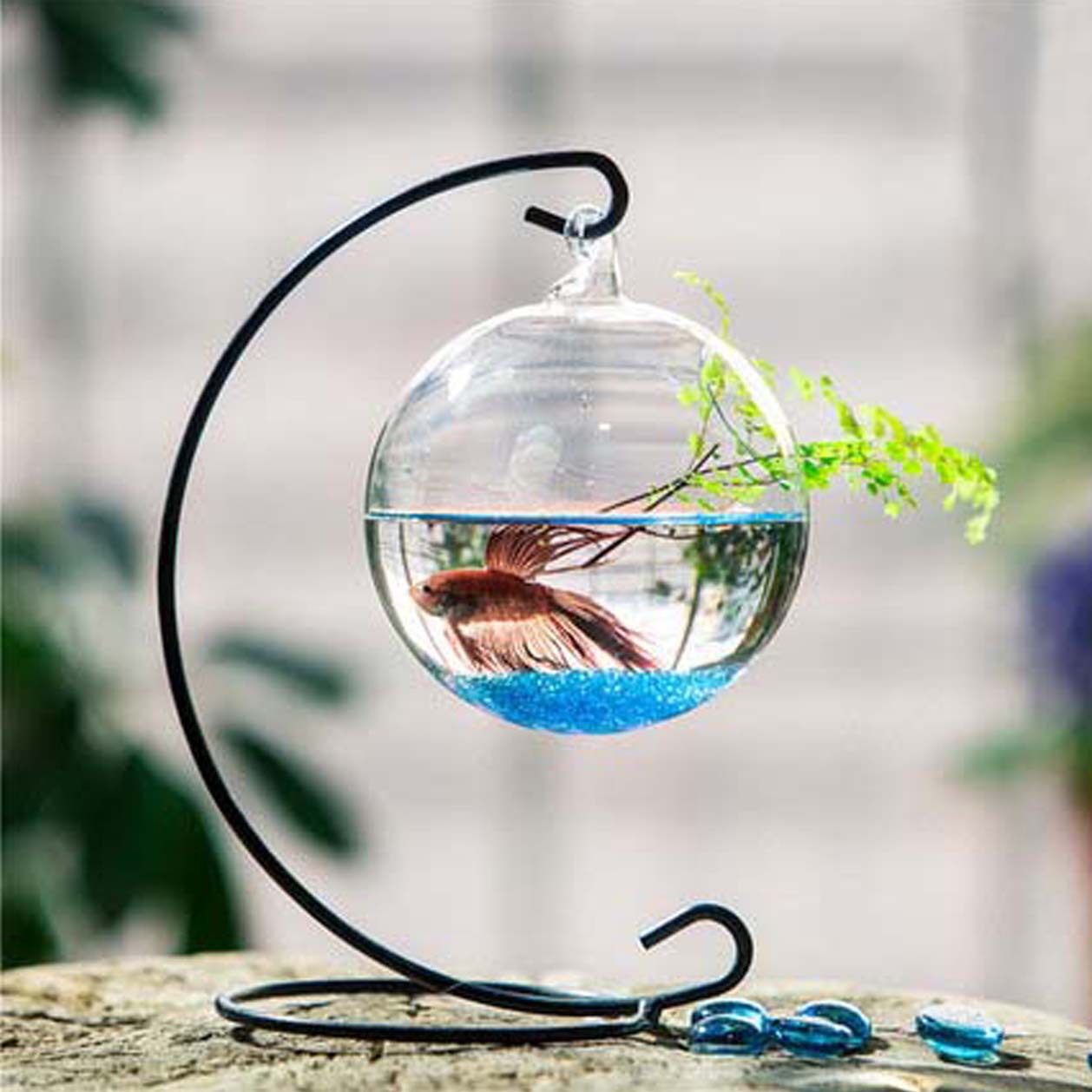 吊挂悬挂玻璃玻璃透明植物桌面缸