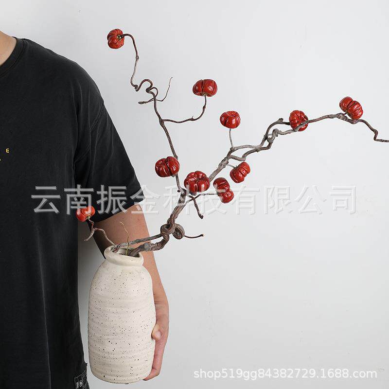 龙枣枝小南瓜干花厅98227876花束家居摆设装饰客地树真落花枝风干