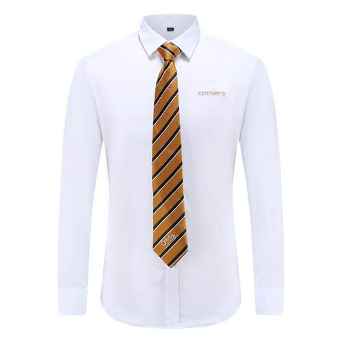正品21世服纪款式免烫衬衫竹纤维白色商务衬衣C2新制1不动产制工