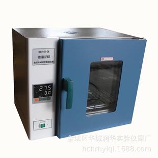 干燥箱DHG 0A电热恒温鼓风干燥箱烘箱 9101
