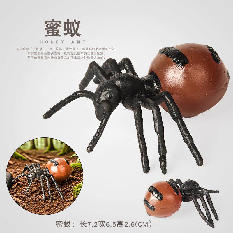 儿童实心动物模型仿真昆虫模型蚂蚁蜜罐蚁蚊子蜘蛛蝴蝶认知玩具