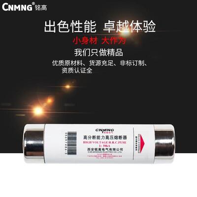3.6-12KV/XRNT非标XRNP1-12KV/0.5A-10A高压熔断器51*195PT手车用