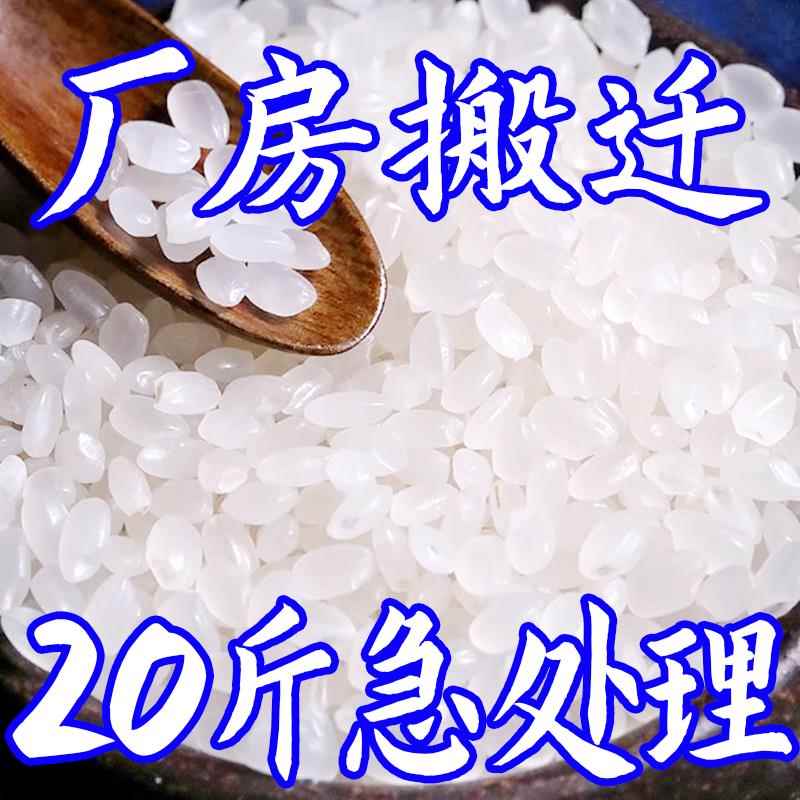 东北五常大米2024年新米优质一级稻花香珍珠米稻田小町10斤
