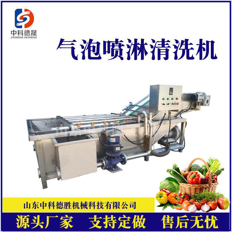 全自动香菇高压喷淋清洗机商用不锈钢茄子扁豆鼓泡清洗机净菜加工