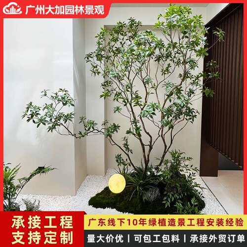 精品马醉木绿植造景橱窗植物室内仿真榕树装饰树大型假树景观软装