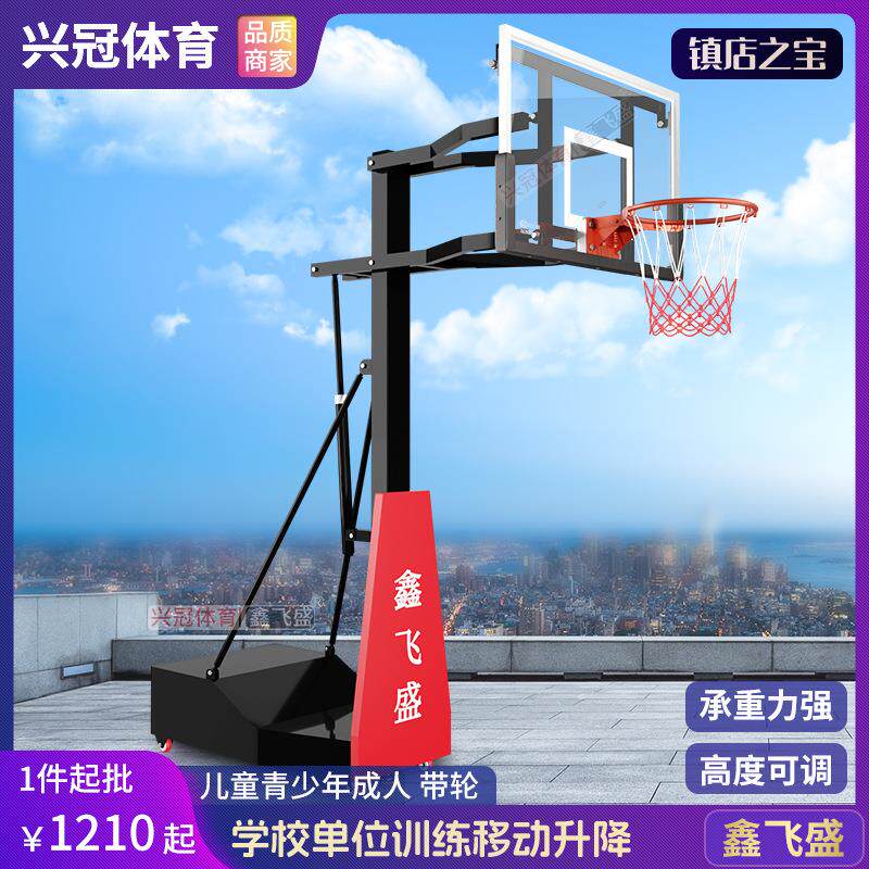 成人篮球架户外可移动平箱篮球架可升降青年学校金属篮球框架